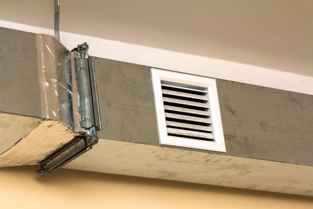 Air Duct Mold Removal in Logansport, IN